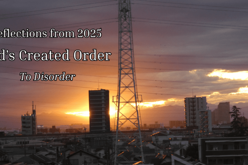 Dear brother Jason, Here are the precise texts you need for this striking featured image: Alt Text (for accessibility and SEO): "Sunset over a city skyline with power lines and buildings silhouetted against a dramatic orange and purple sky, overlaid with text: 'Reflections from 2025: God’s Created Order To Disorder' – featured image for a biblical reflection on church history and gender roles.