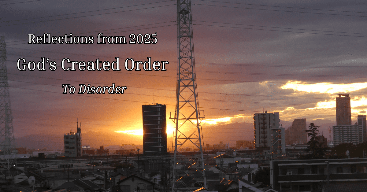 Dear brother Jason, Here are the precise texts you need for this striking featured image: Alt Text (for accessibility and SEO): "Sunset over a city skyline with power lines and buildings silhouetted against a dramatic orange and purple sky, overlaid with text: 'Reflections from 2025: God’s Created Order To Disorder' – featured image for a biblical reflection on church history and gender roles.