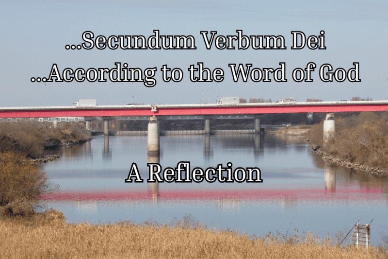 A bridge painted red over the Arakawa in Tokyo